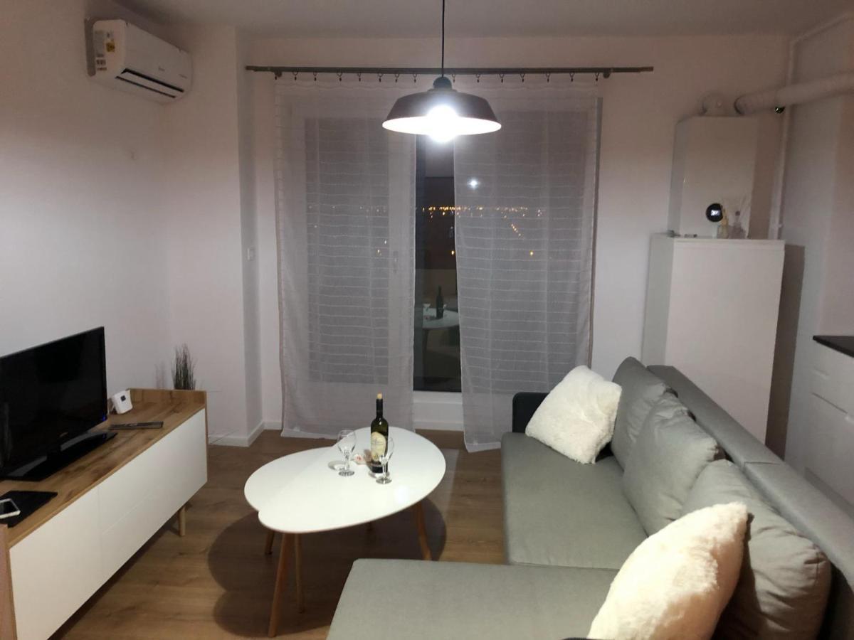 Chronos Apartment - Modern And Stylish Timişoara Extérieur photo